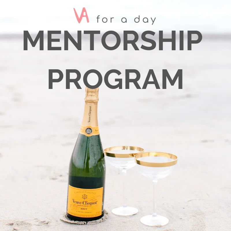 MENTORSHIP-PROGRAM.jpg
