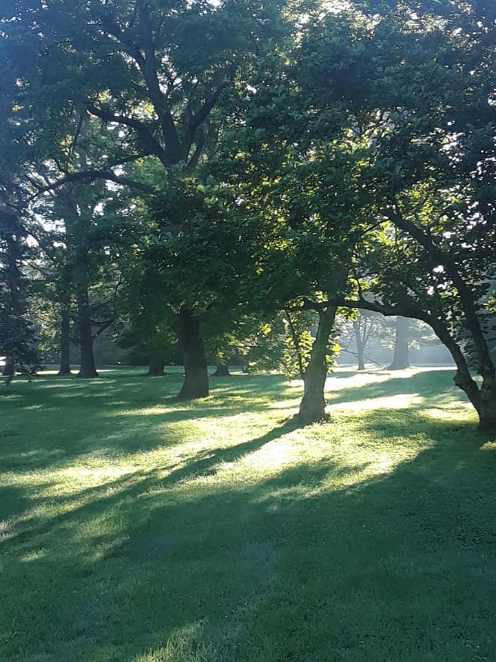 Side yard