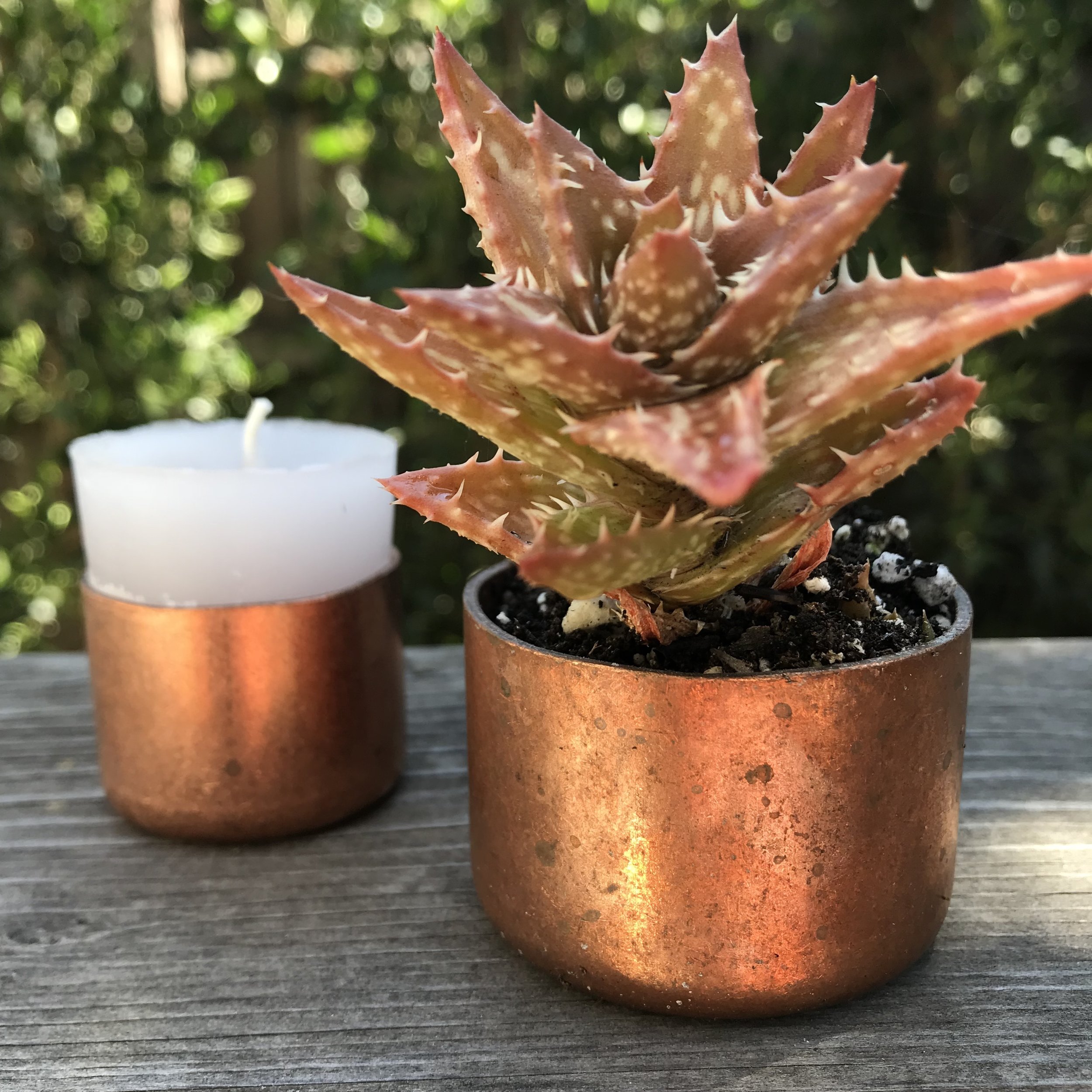 DIY for the Lazy: Project One - Copper Succulent and Candle Pots.
