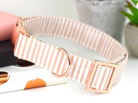 Scout it Out - How cute is this dog collar from SandyPawsCollarCo?