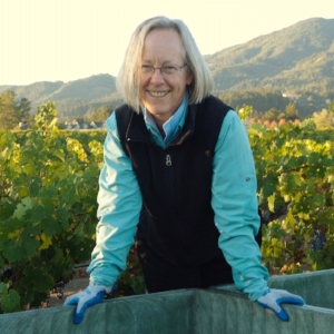 Corison Winery