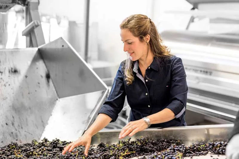 Bibiana_Winery.jpg