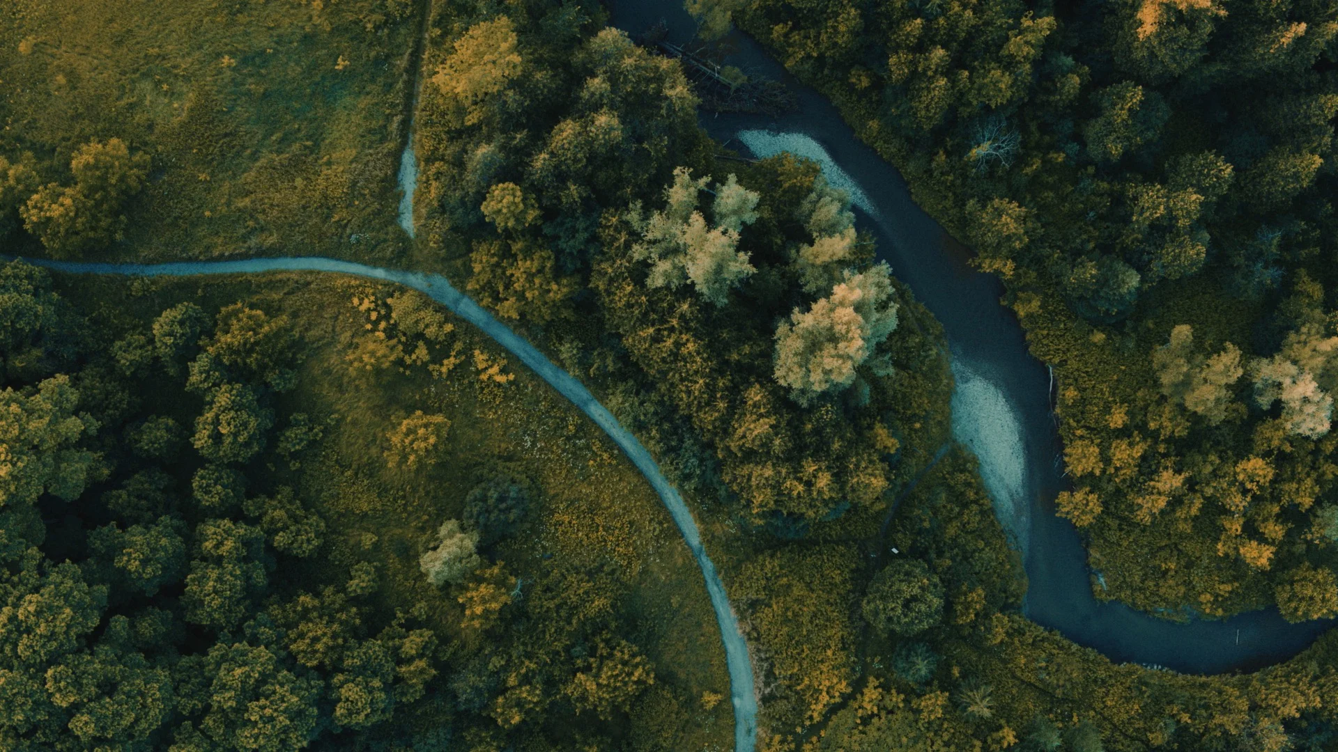 aerials_7-Wide 16x9.jpg