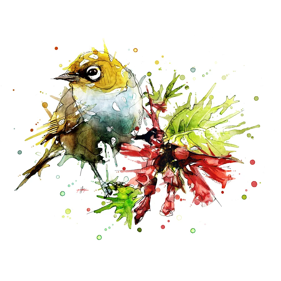 Silvereye. By Jeremy Kyle / Artist — Buy Limited Edition Print