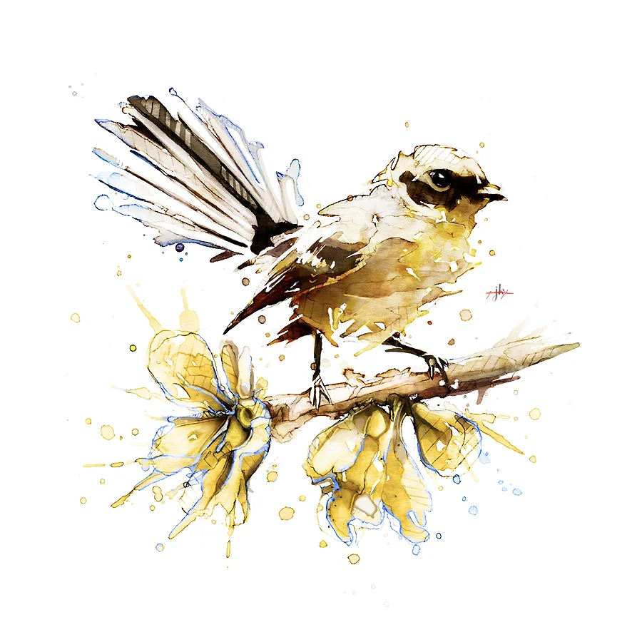 Fantail. By Jeremy Kyle / Artist — Buy Limited Edition Print