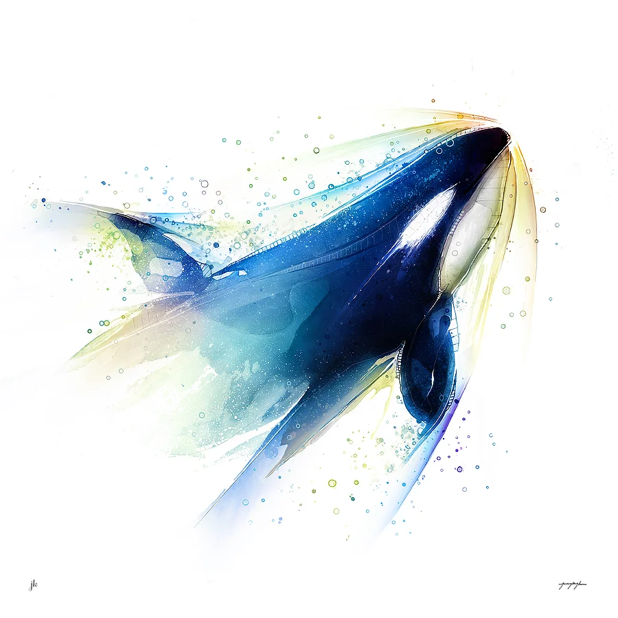 Orca. By Jeremy Kyle / Artist — Buy Limited Edition Print