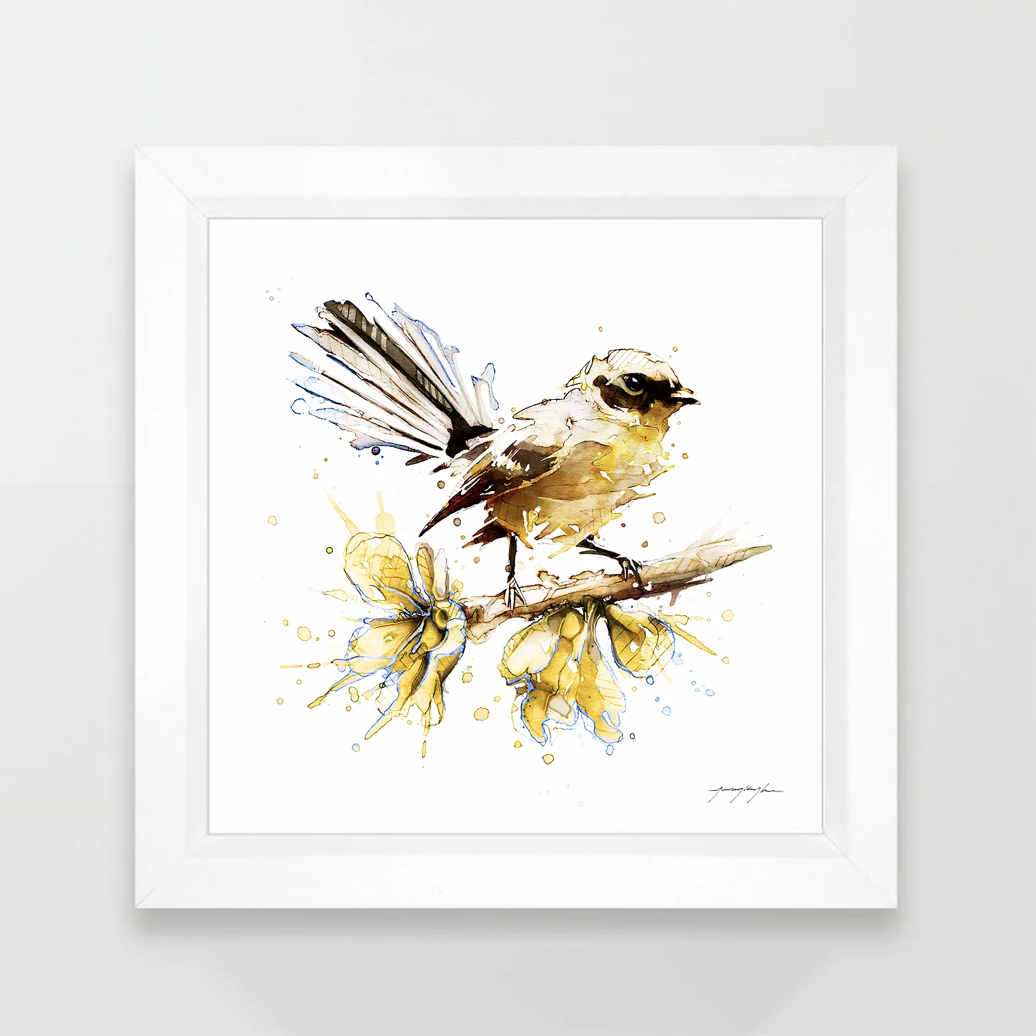 Fantail Painting. By Jeremy Kyle Artist