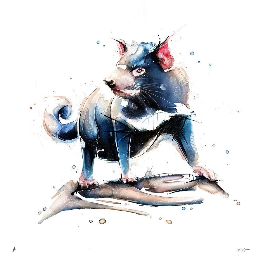 Tasmanian Devil. By Jeremy Kyle / Artist — Buy Limited Edition Print