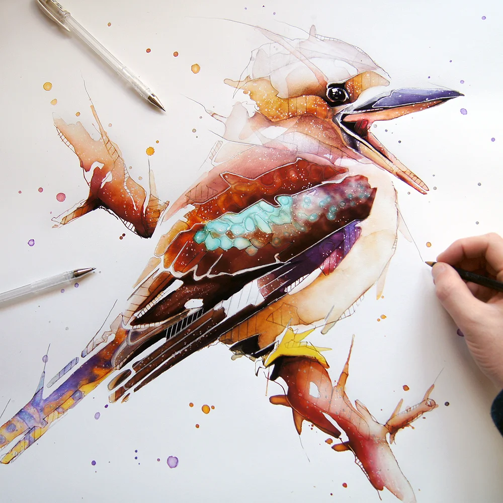 Kookaburra2.jpg