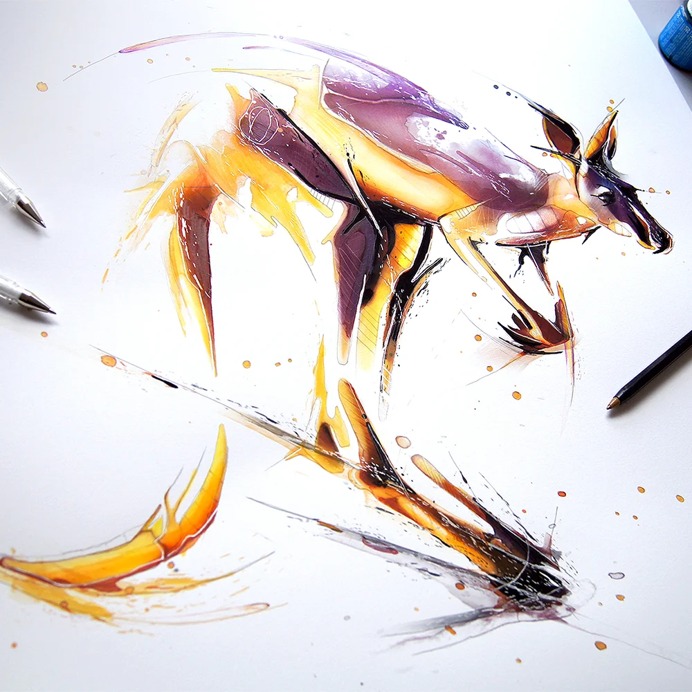 Kangaroo6.jpg