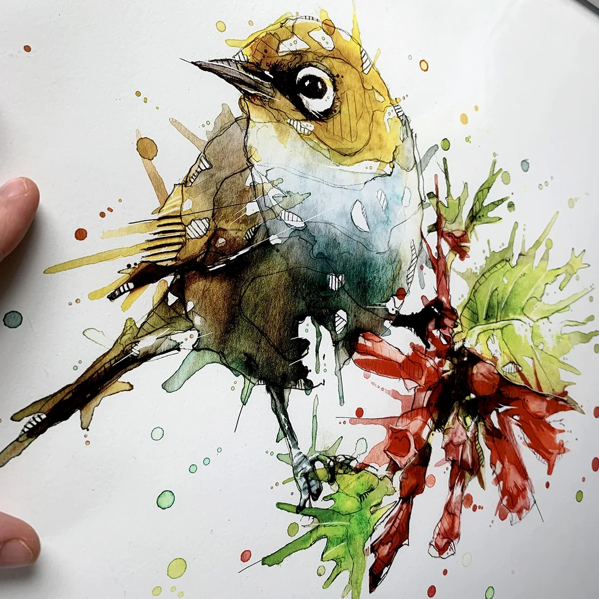 Silvereye_Closeup.jpg