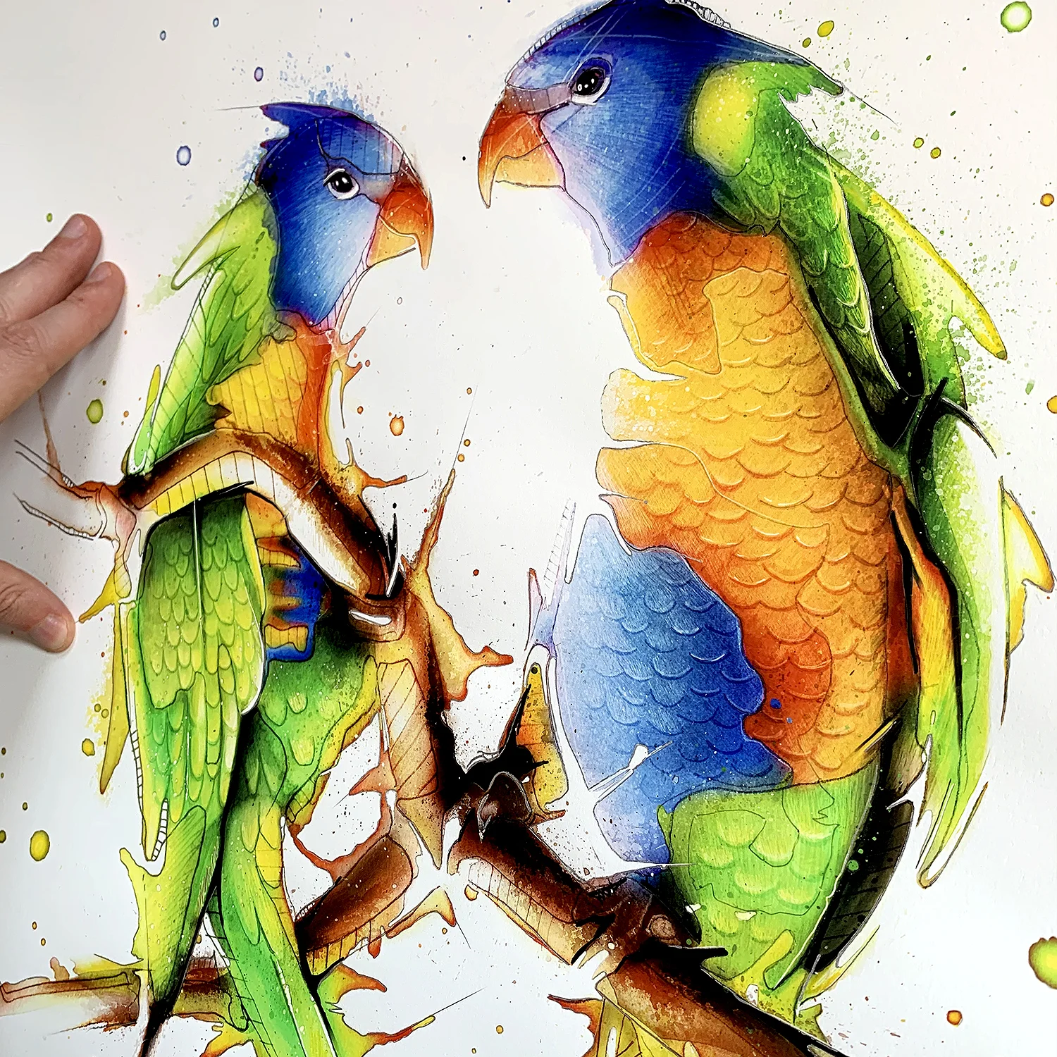 Lorikeet_JeremyKyleArt.jpg