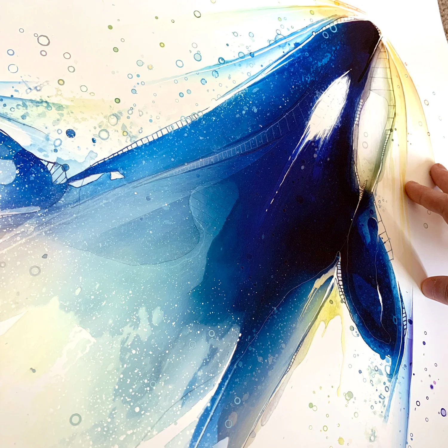 Orca_CloseUp2.jpg