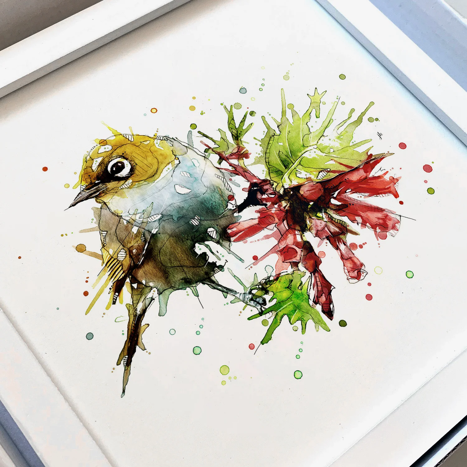 Silvereye_Frame.jpg