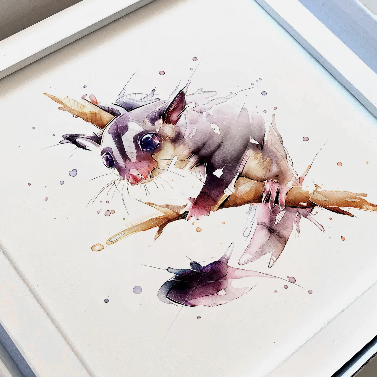 SugarGlider_Frame.jpg