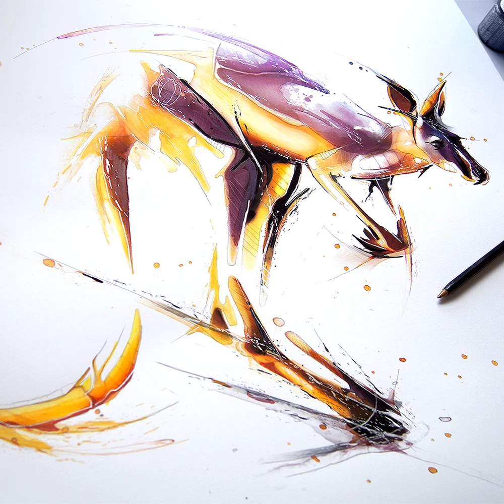 Kangaroo6.jpg