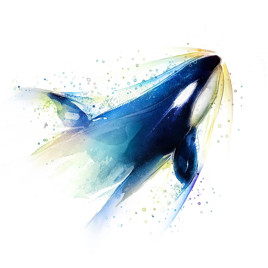 ORCA.jpg