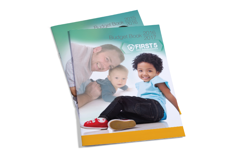 BudgetBookCovers.png