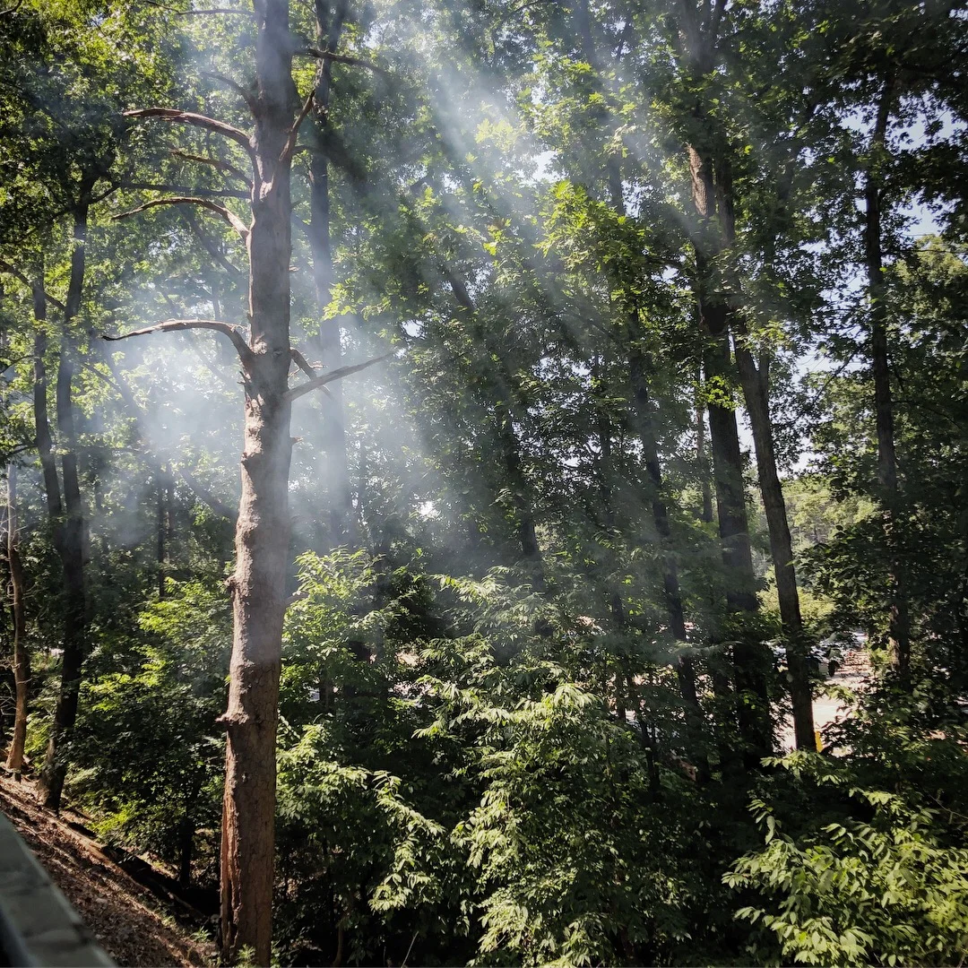 Stone Mountain2.JPG