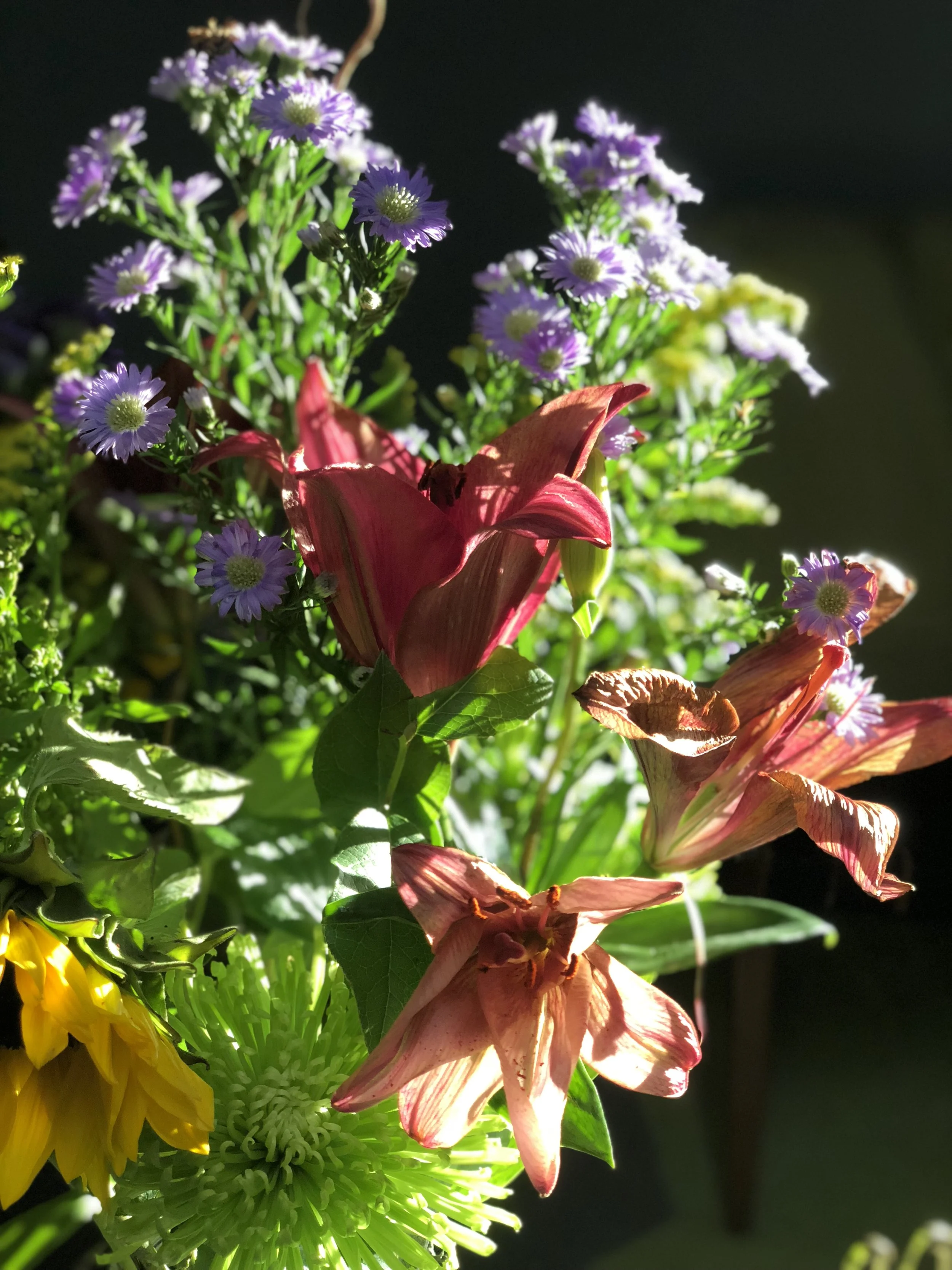 Dressed Unedited.jpeg