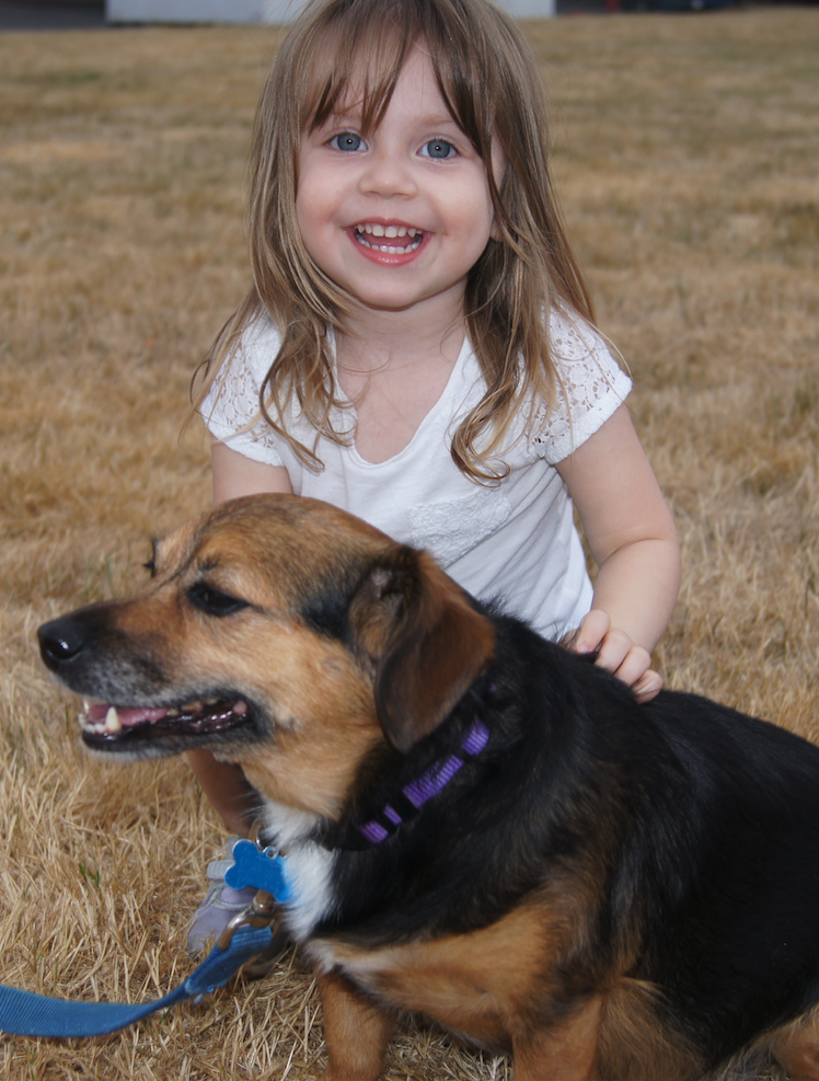 molly-fairy-dog-heaven-about-6.png