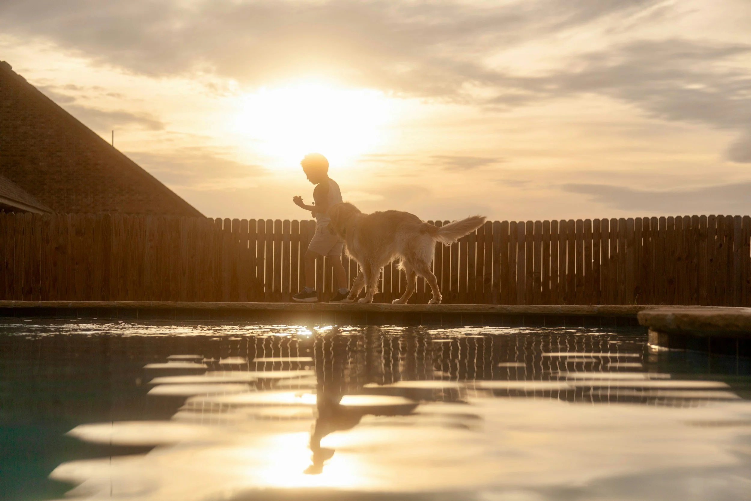 How to Help Your Child Cope With Losing a Dog: What Actually Helped Our Family