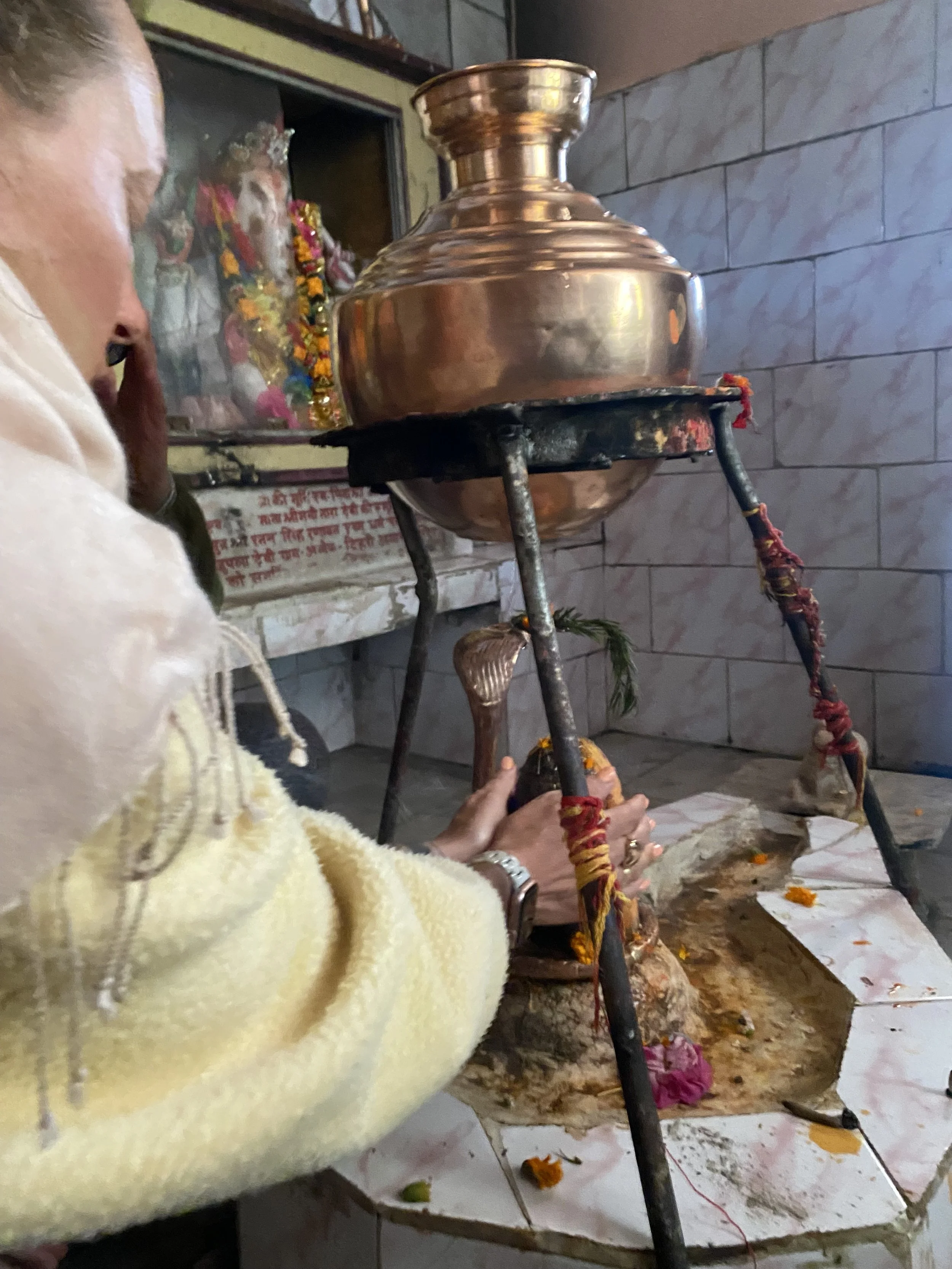 IMG_8706.jpeg