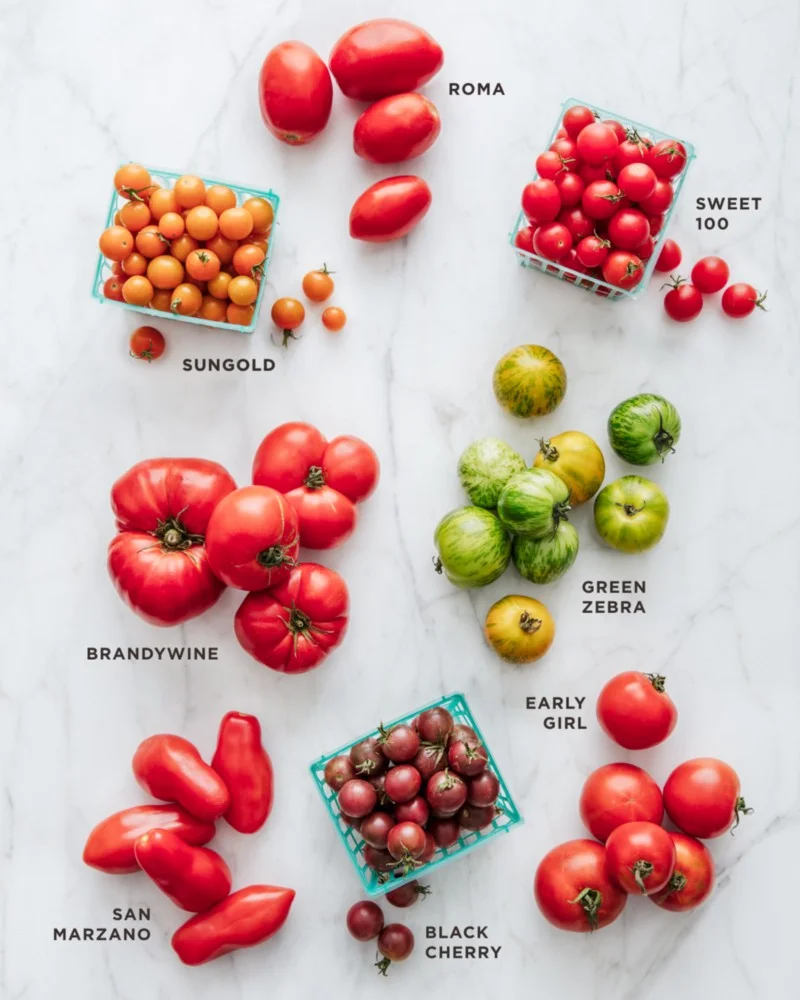 tomato-varieties-infographic-good-eggs.jpeg