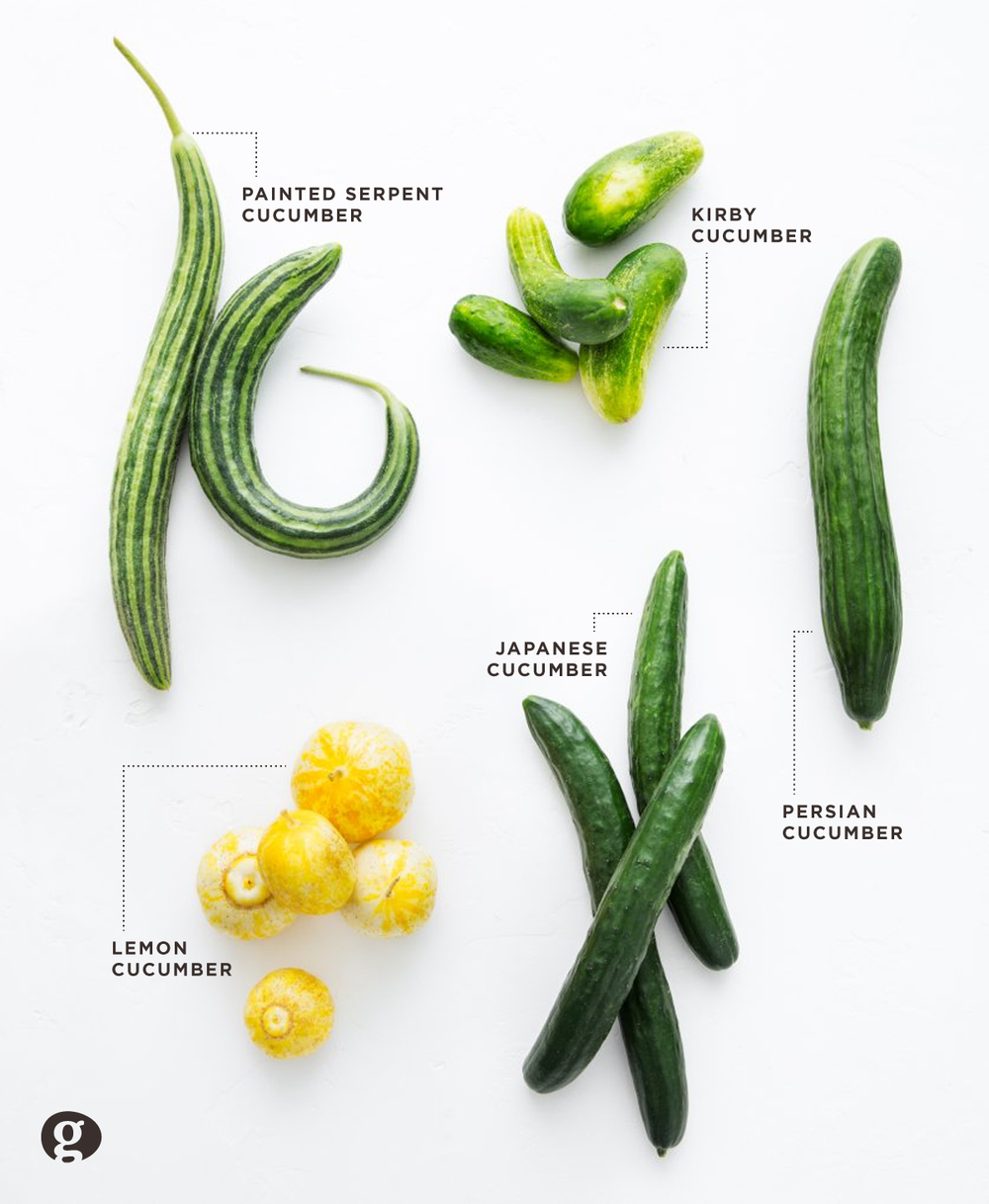 The 5 Best Tasting Cucumbers To Try This Season Scratchpad By Good Eggs