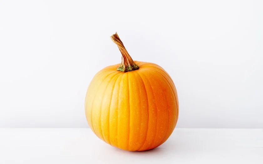 Blue House Organic Farm Organic Small Jack O’ Lantern Pumpkin $6.99
