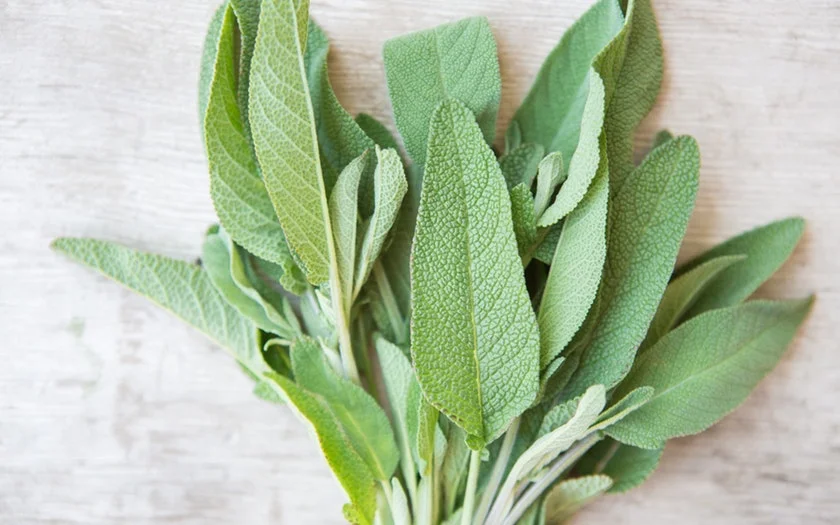 Eatwell Farm Organic Sage $1.99