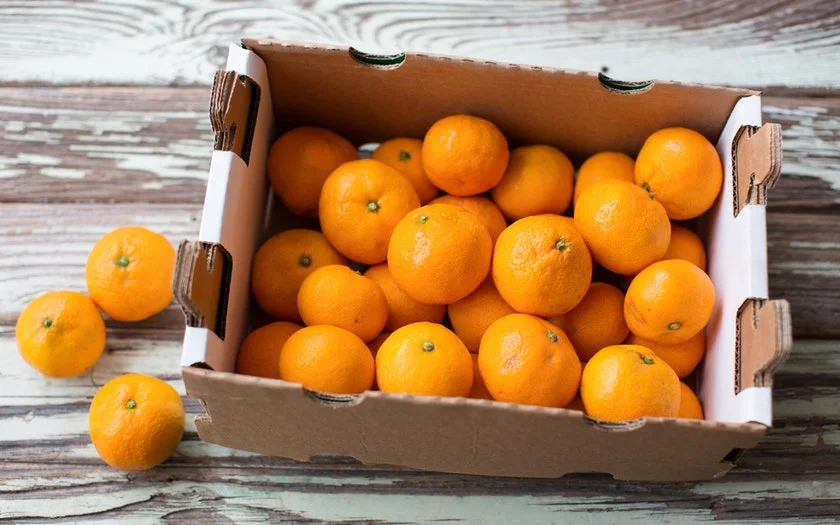 Side Hill Citrus Organic Satsuma Mandarin 5 lb. Gift Box $16.99