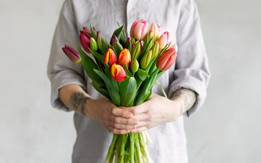 Thomas Farm Organic Farmer’s Choice Tulip Trio $39.99