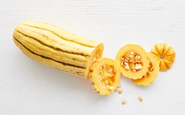 Terra Firma Farm Organic Delicata Squash $1.99
