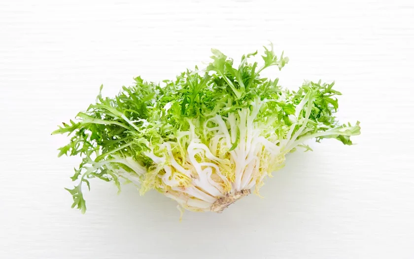 Lakeside Organic Gardens Organic Frisée $1.99