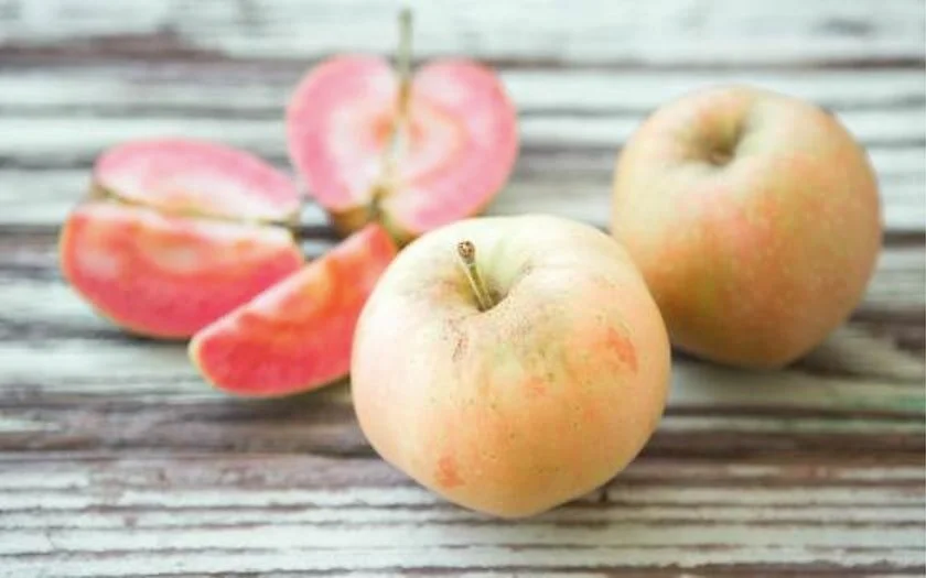Filigreen Farm Organic Mountain Rose Apple $4.99