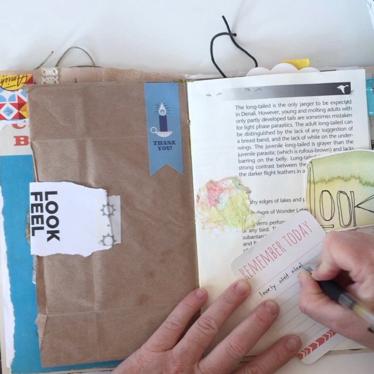 Junk Journal with me 01