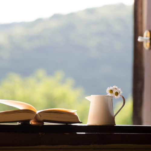 Rejuvenate Your Space: An Introduction To Holistic Organizing
