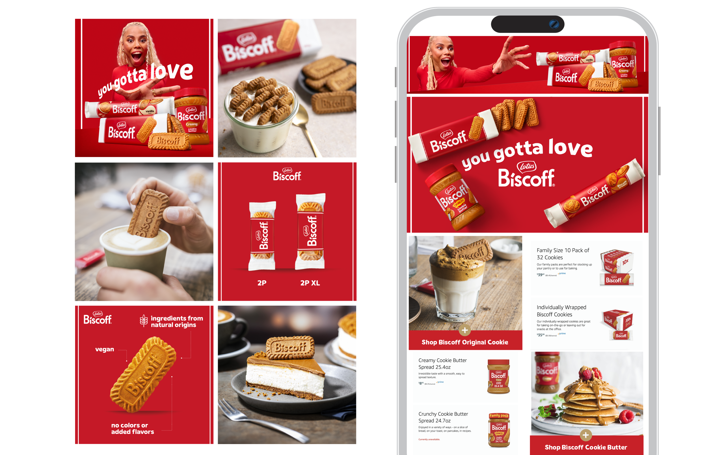 Biscoff exports 2500 copy.png