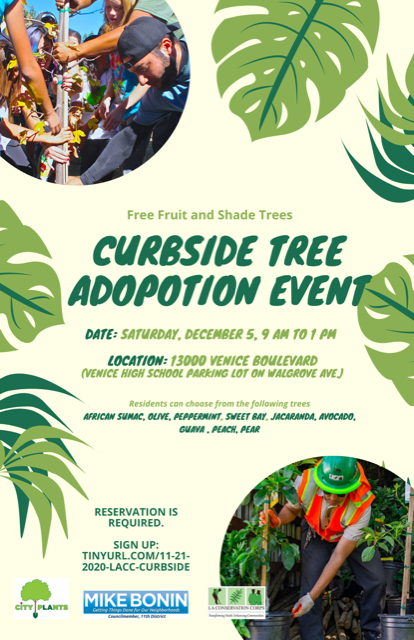 Curbsite Tree Adoption Event