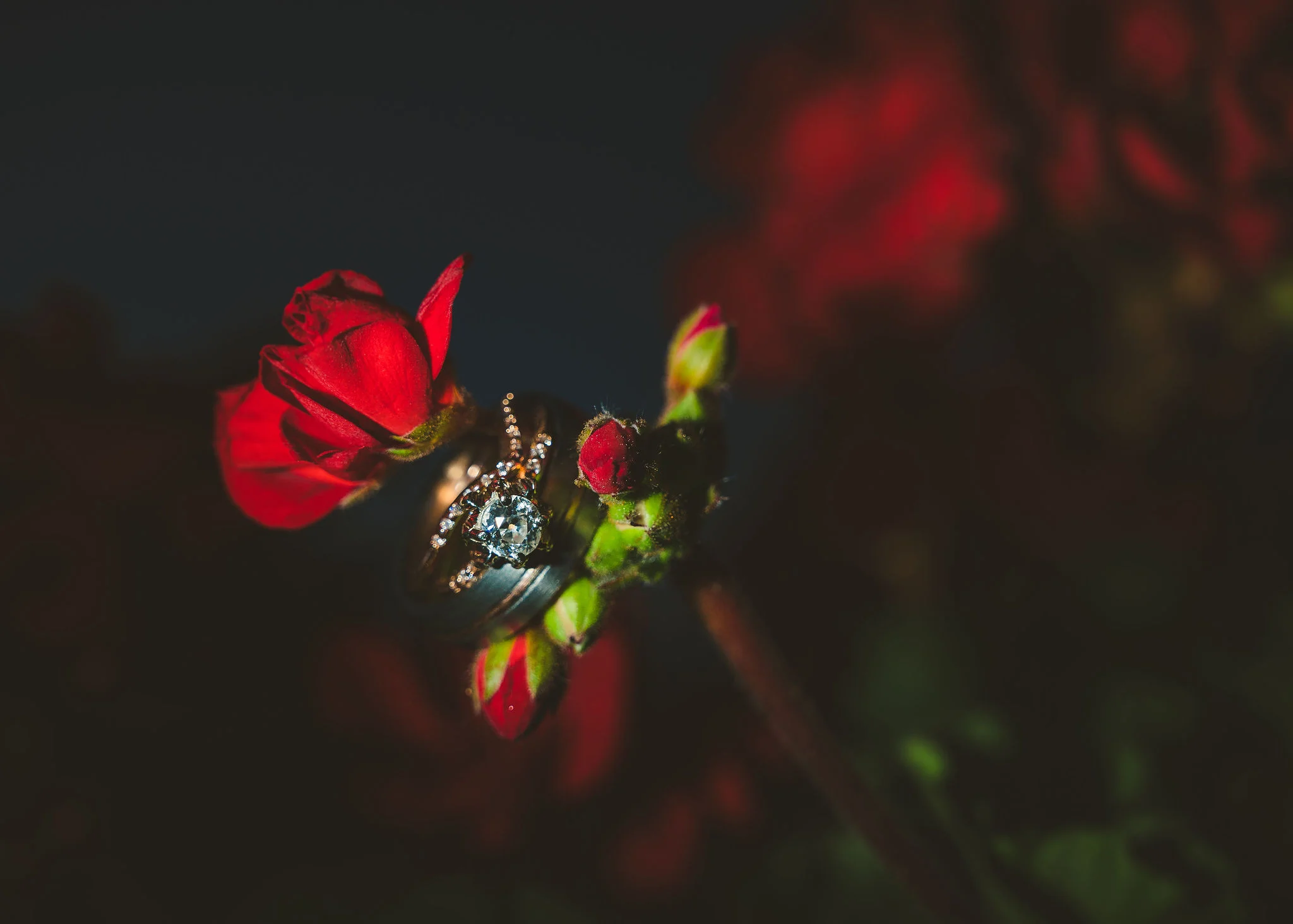 AMWStudios-190526-2051.jpg
