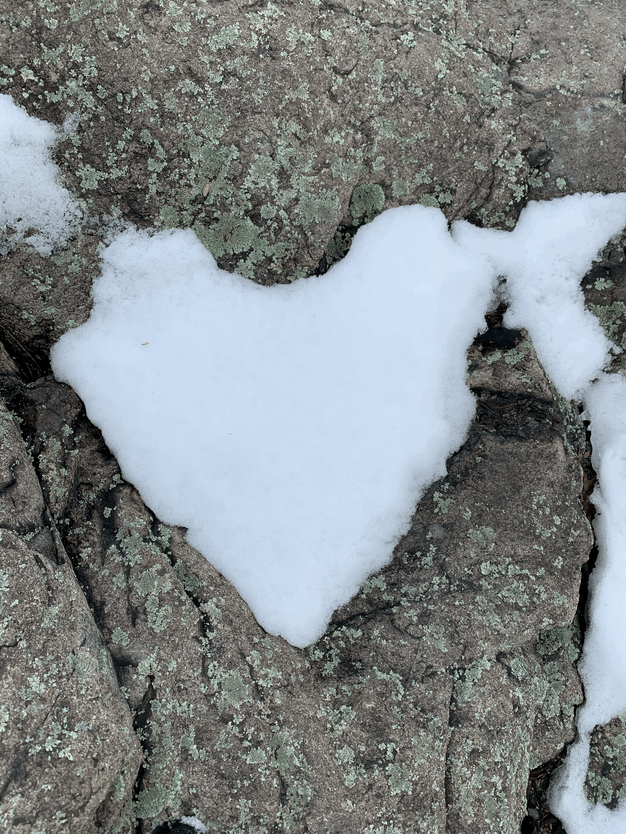 Applying Mindfulness in Schools Through Restorative Practices and Circles