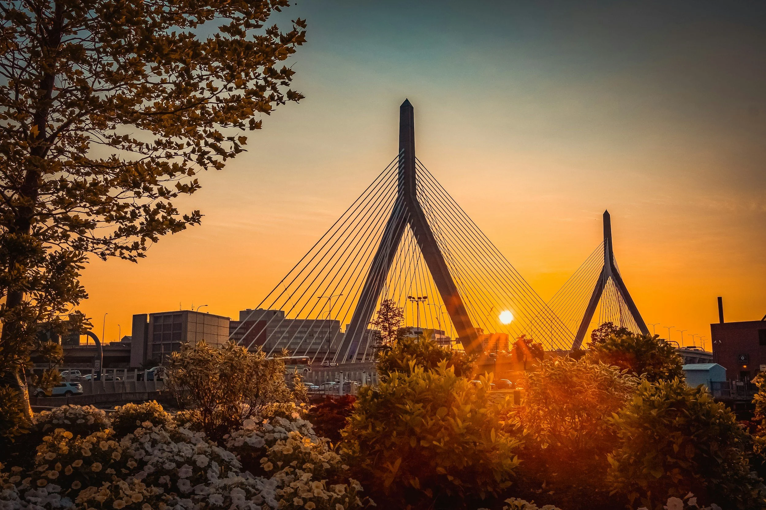 Sunset view of a modern cable-stayed bridge with two tall, A-shaped pylons and cables, set against a colorful sky with orange and yellow hues. Trees and bushes in the foreground, with a cityscape and parked cars in the background.