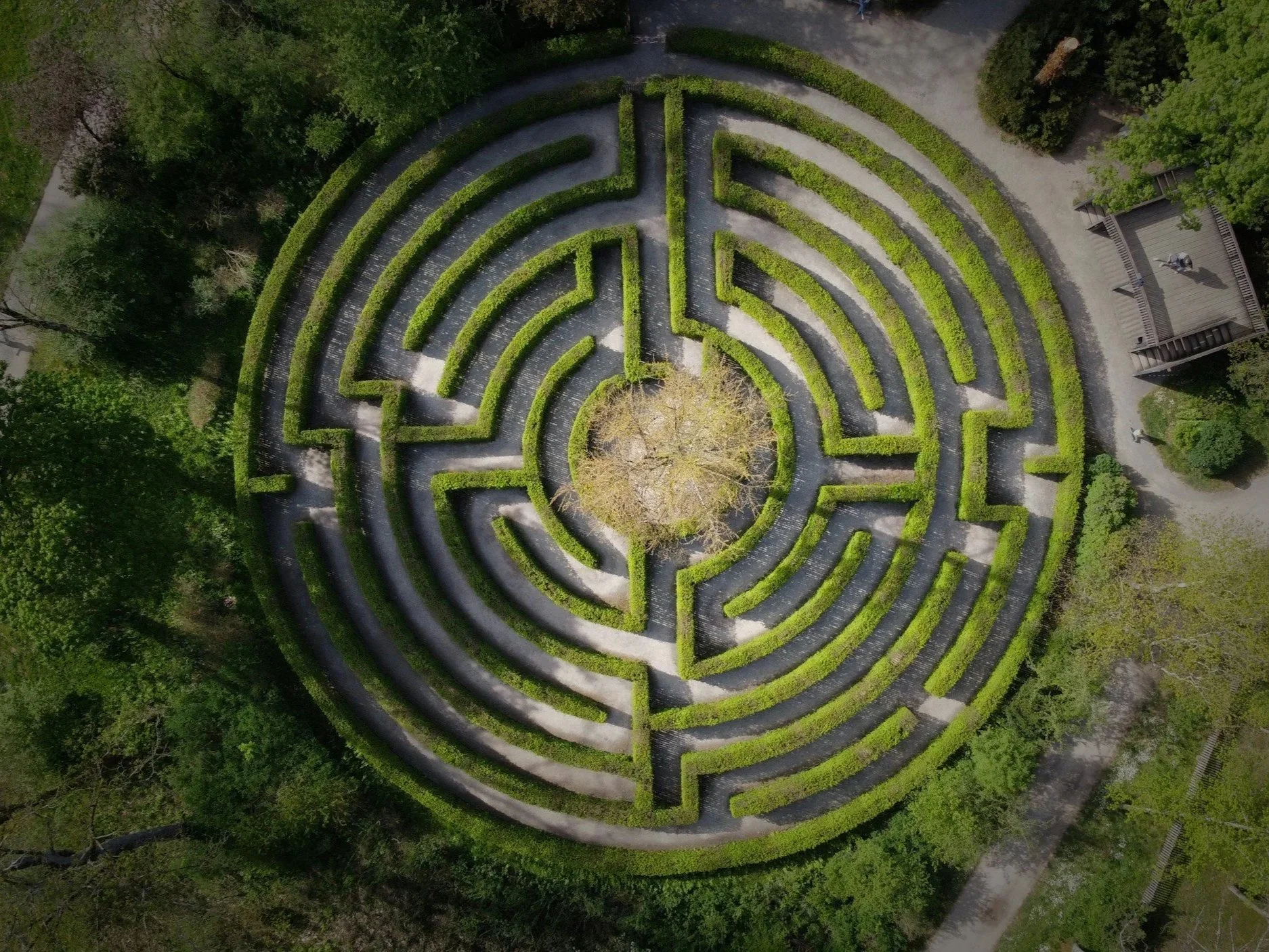 A bird's eye view of a green hedgerow labyrinth in a circle shape