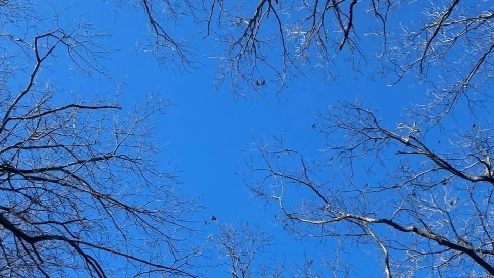 Restorative Practices for Stressful Times: Adult SEL Tools for Well-Being