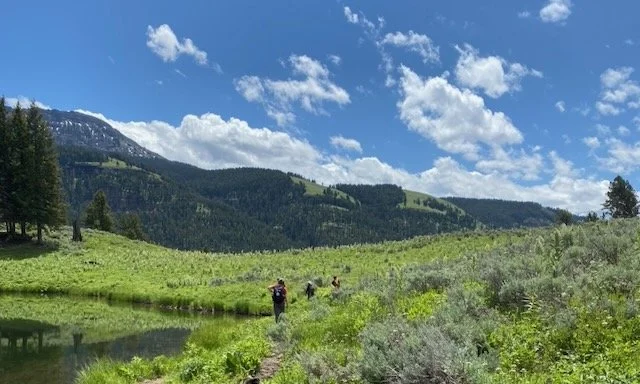 A wide shot of a mountain meadow with a pond in the foreground and three hikers walking away from the camera.