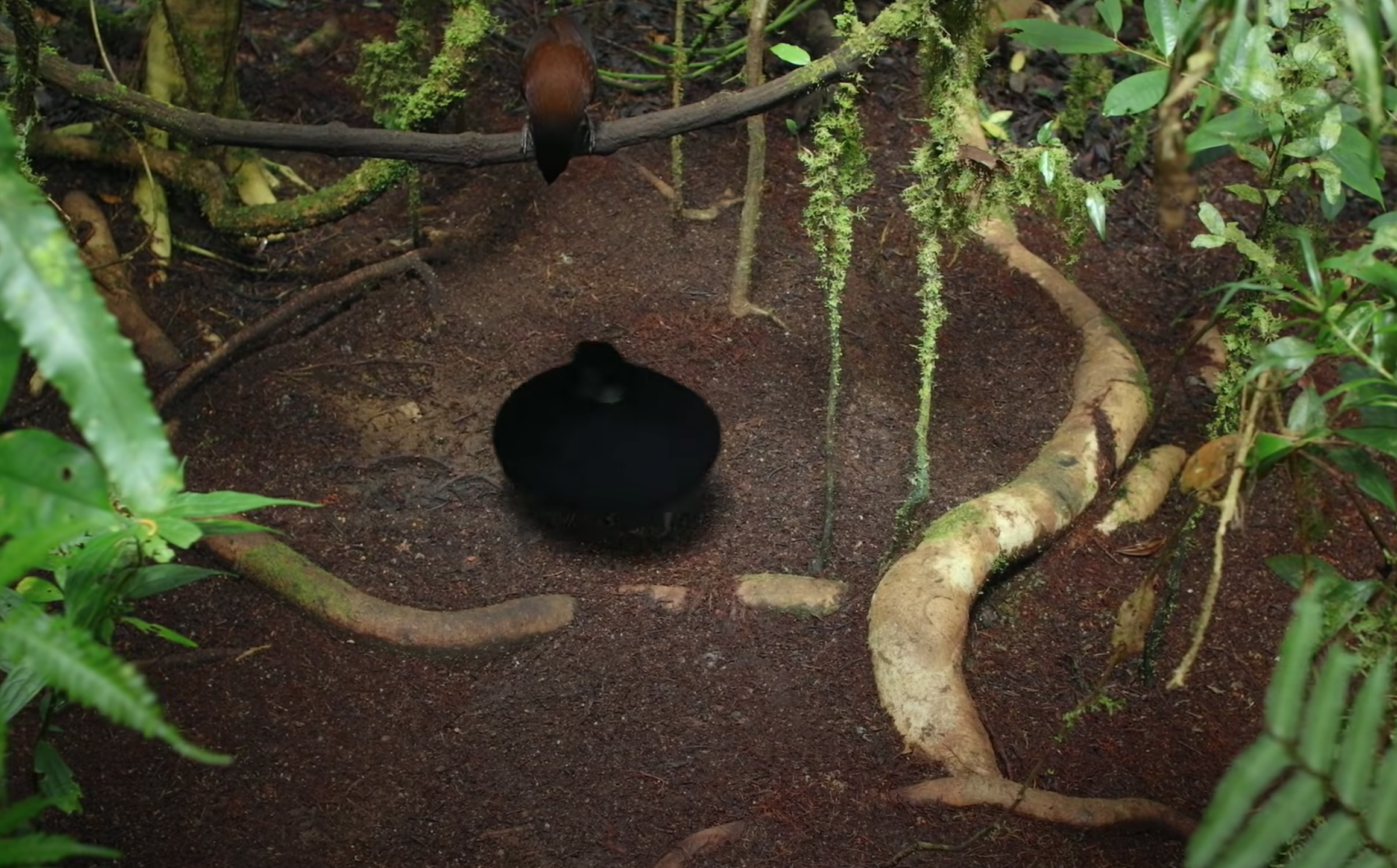 Screen Shot 2022-08-06 at 9.07.28 AM.png