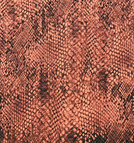 rustic snakeskin_SSU.PNG