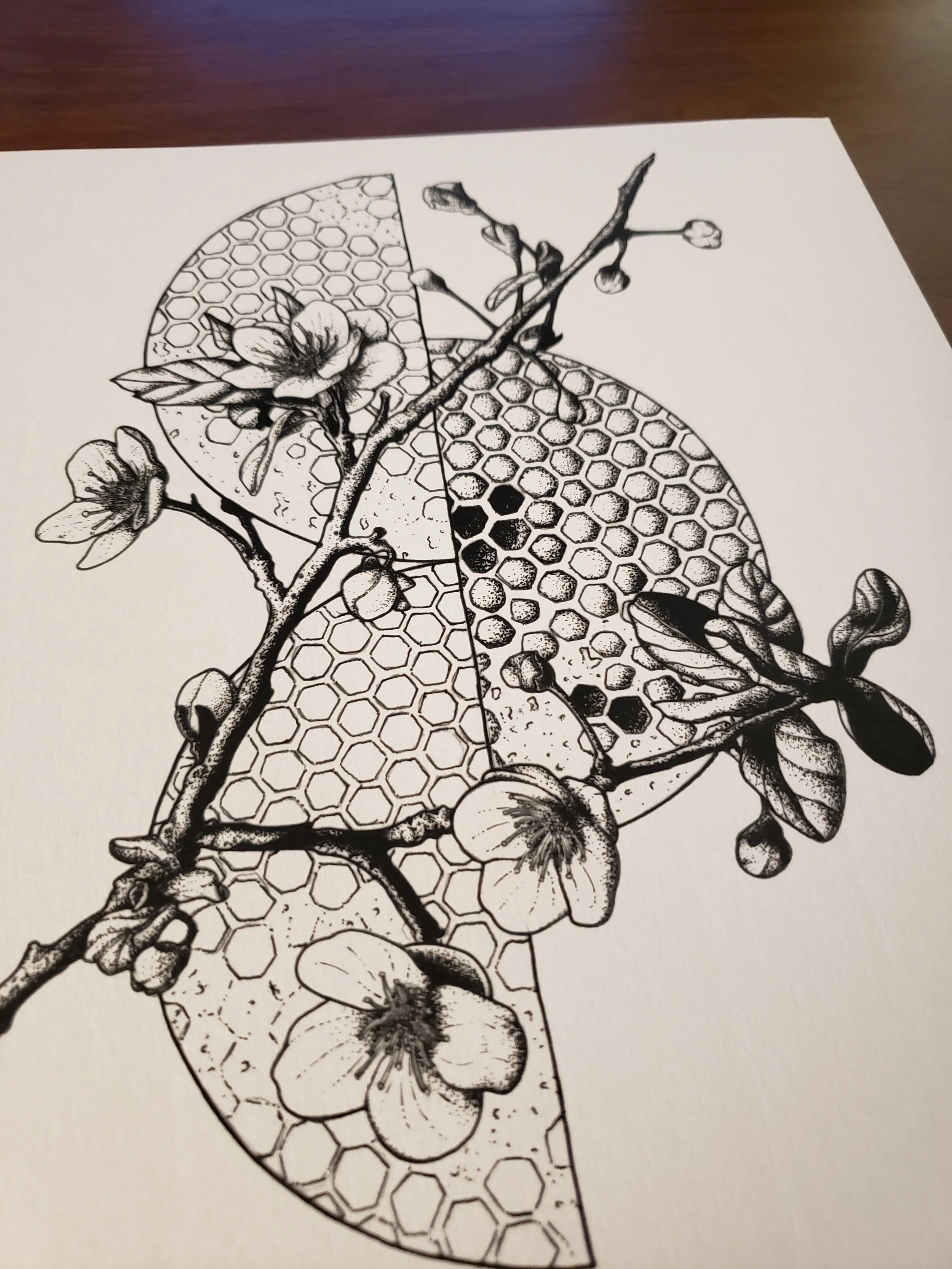 Cherry_Blossom_With_Honey_Comb_close.jpg