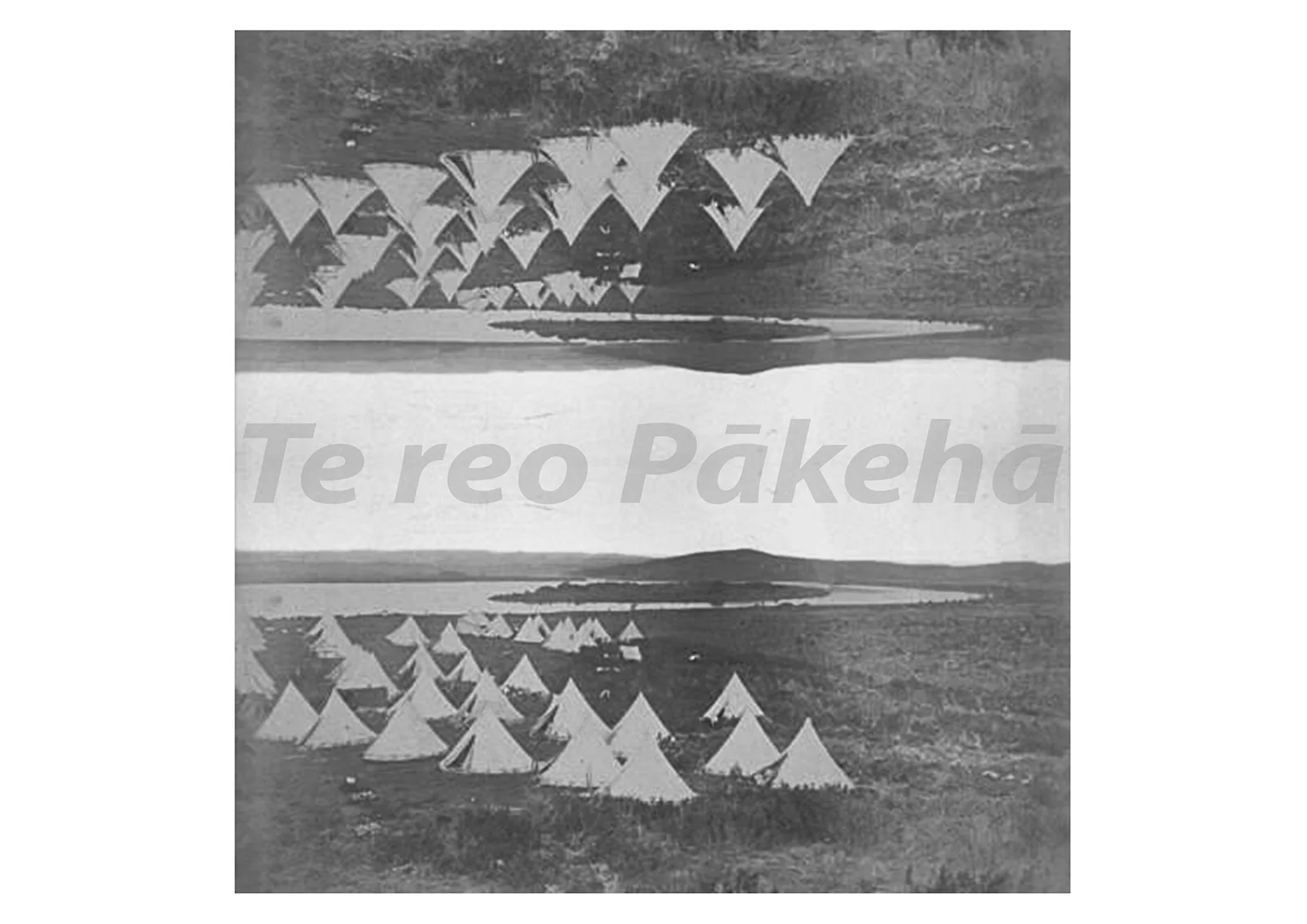 TeReoPaakehaa1600.jpg